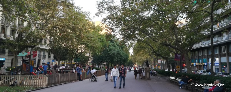 Barcelona – město stromů