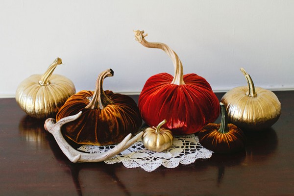 velvet-pumpkins-diy