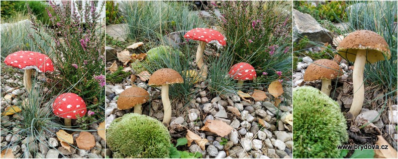 Betonové houby