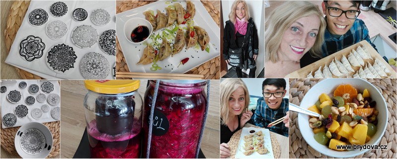 Vlog 271/21 – razítkování hmoty, pickles a gyoza knedlíčky