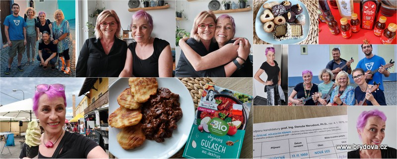 Vlog 439/22 – kandidatura, růžová, vegan fest, Kulíci a René