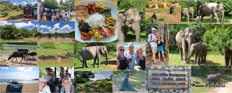 Vlog 638/23 – Srí Lanka – Yala park