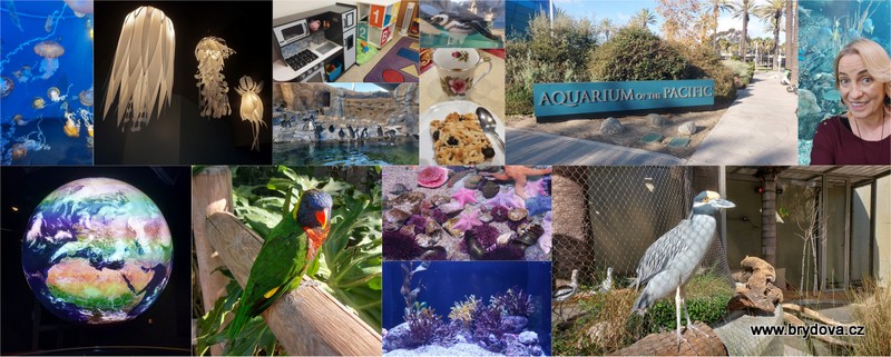 Vlog 887/24 – Pavky práce a Aquarium of the Pacifik