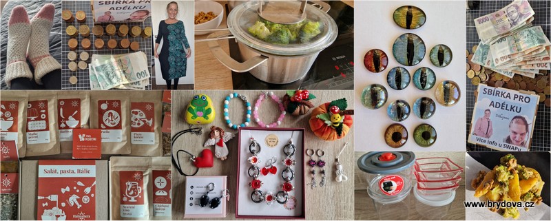 Vlog 1431/25 – výsledek sbírky, dva kořeni, nové šaty a dárečky